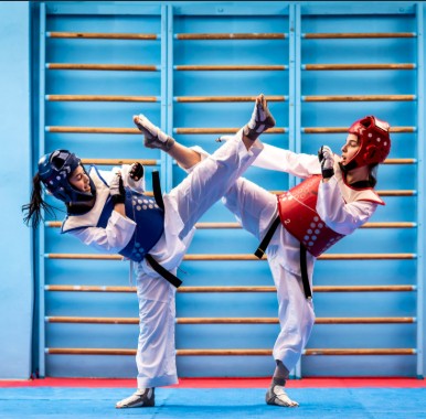 Taekwondo